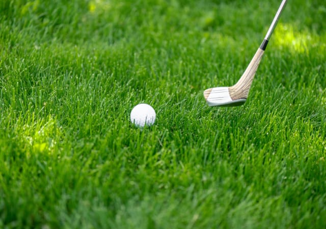 A gold ball and a golf club on the grass