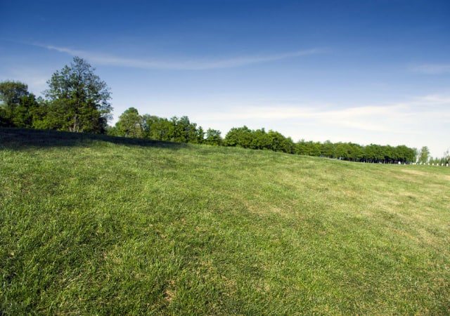 green grass golf course