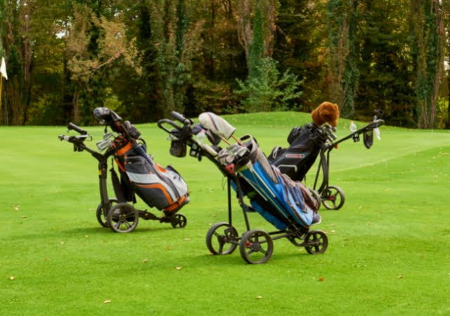 Golf Clubs in Bag at Golf Course
