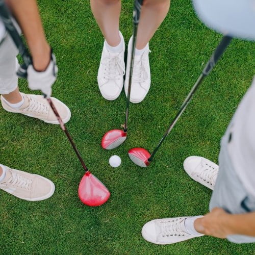 golf clubs for the shot