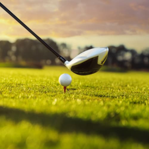 driver shaft length balance