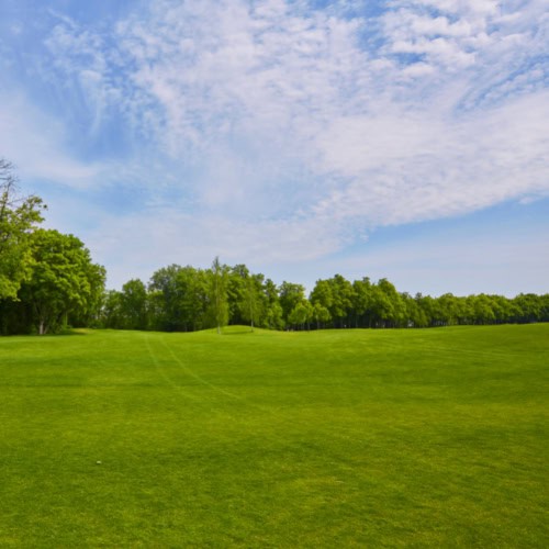 Golf Course scene