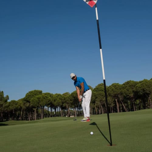 Golf Scores