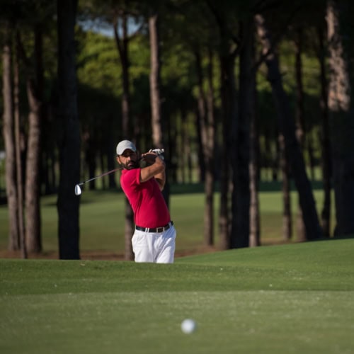 Golf ball on the green