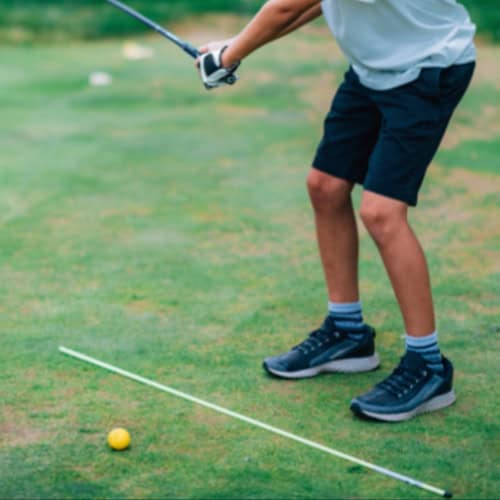 Golf shot with alignment stick